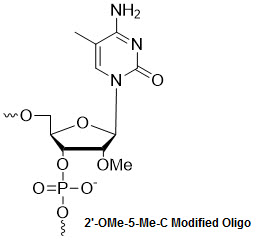 Bio-Synthesis Inc. Oligo Structure